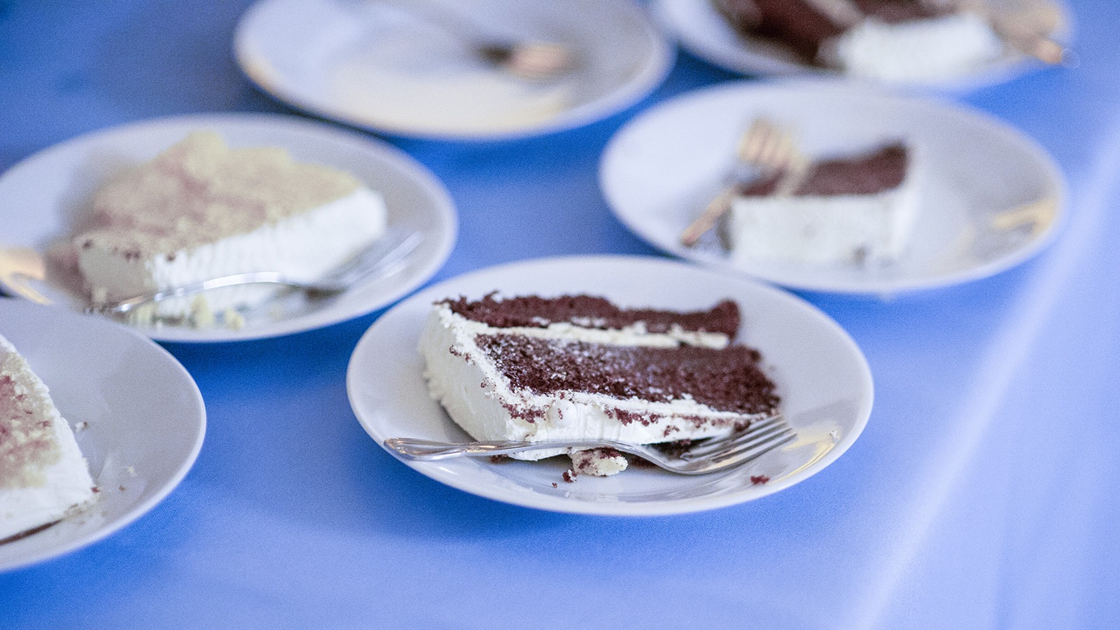 close up of cut piece of chocolate cake
